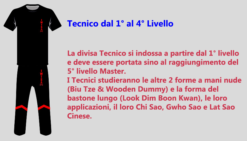 divisa tecnico